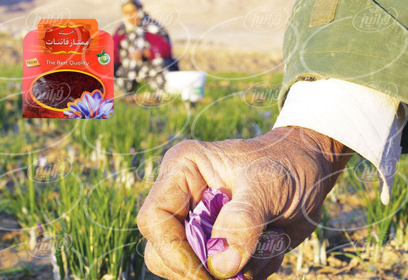بازرگانی پودر زعفران قائنات به صورت مجازی