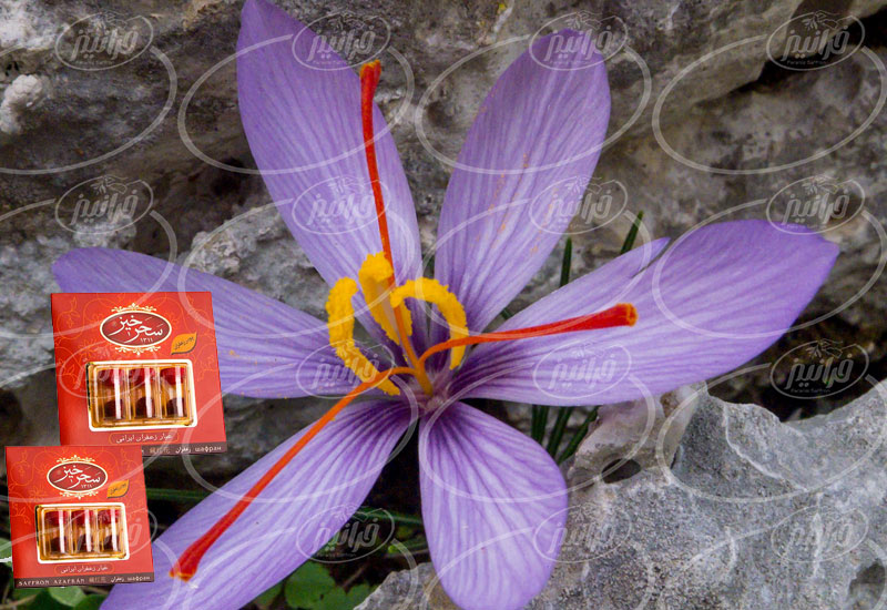 پکیج کامل اسپری زعفران سحرخیز